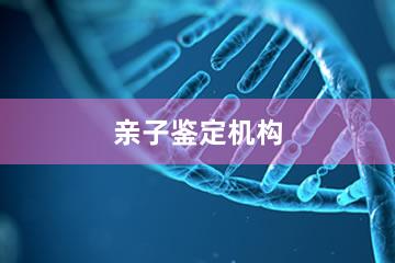 成都亲子鉴定机构